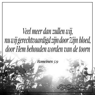 afbeelding bloemen met bijbeltekst romeinen 5-9 veel meer dan zullen wij die gerechtvaardigd zijn door zijn bloed door hem behouden worden van de toorn