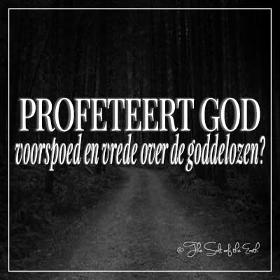 afbeelding donkere weg met artikel titel profeteert God voorspoed en vrede over de goddelozen